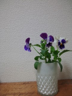 120304_1915~01.jpg