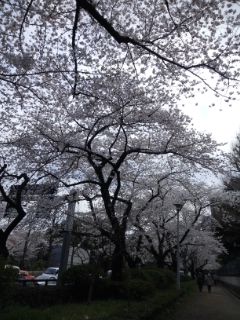 120407_1327~01.jpg