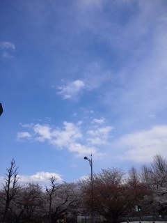 120407_1331~02.jpg