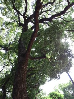 120527_1501~01.jpg