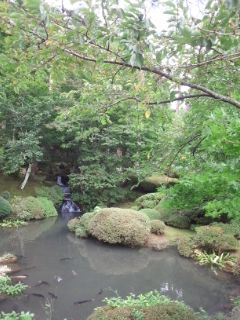 121007_1221~01.jpg